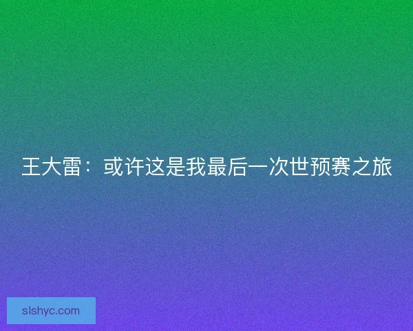 王大雷：或许这是我最后一次世预赛之旅