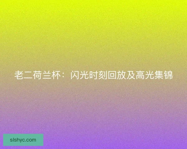 老二荷兰杯：闪光时刻回放及高光集锦