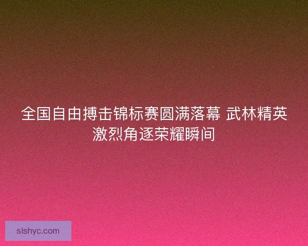 全国自由搏击锦标赛圆满落幕 武林精英激烈角逐荣耀瞬间